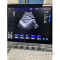 Machine à ultrasons de couleur portable portable C5PRE